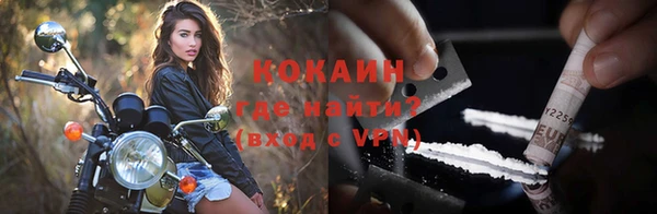 трава Бородино