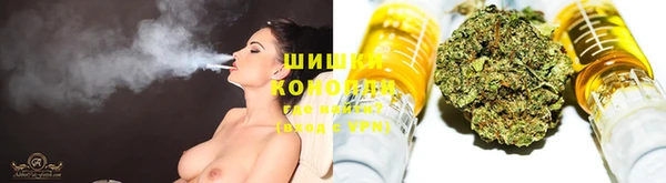 тгк Бронницы