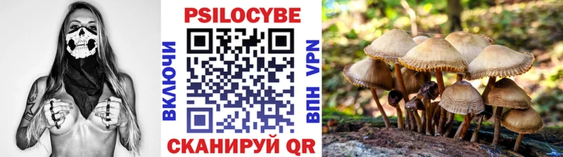 Псилоцибиновые грибы MAGIC MUSHROOMS  OMG вход  Кирово-Чепецк 